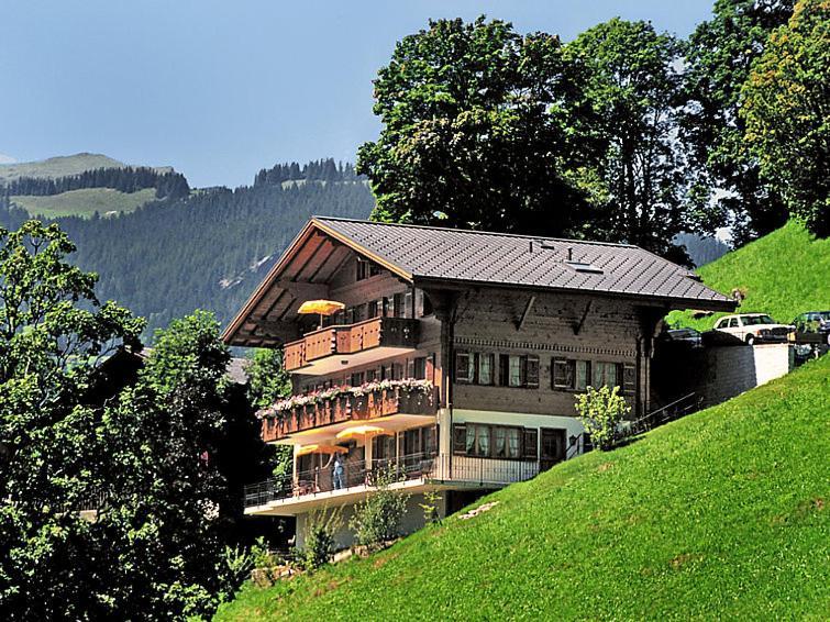 Chalet Aphrodite West Apartment Grindelwald Exterior photo